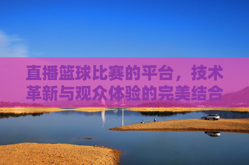 直播篮球比赛的平台，技术革新与观众体验的完美结合