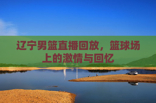 辽宁男篮直播回放，篮球场上的激情与回忆