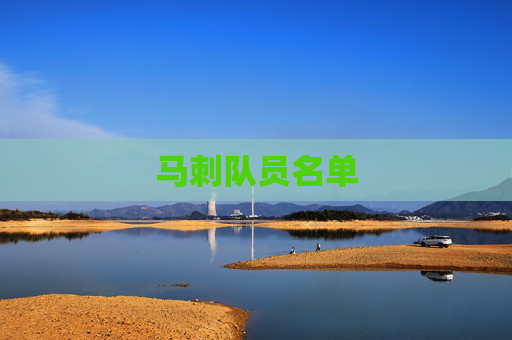 马刺队员名单