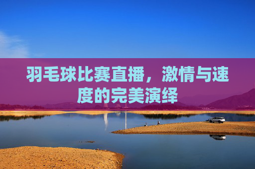 羽毛球比赛直播，激情与速度的完美演绎