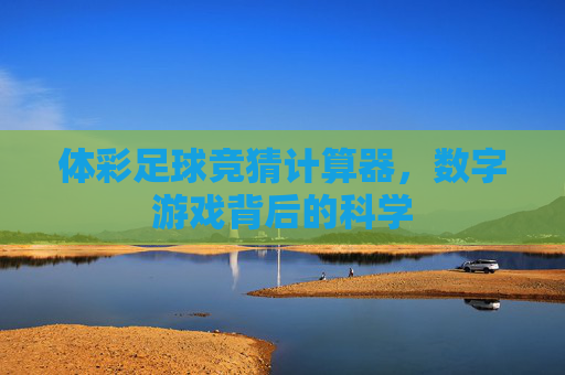 体彩足球竞猜计算器，数字游戏背后的科学