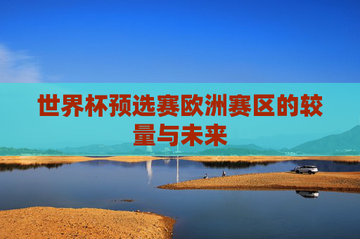 世界杯预选赛欧洲赛区的较量与未来