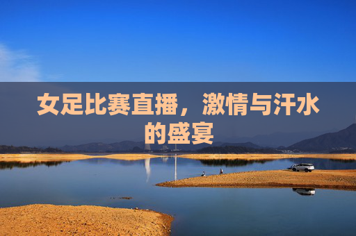 女足比赛直播，激情与汗水的盛宴