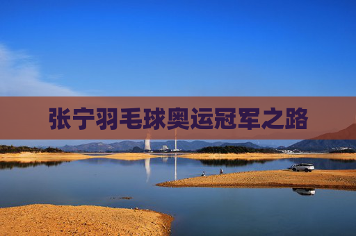 张宁羽毛球奥运冠军之路