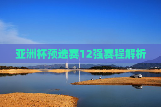 亚洲杯预选赛12强赛程解析