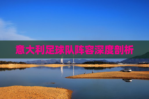 意大利足球队阵容深度剖析