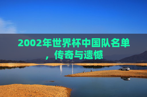 2002年世界杯中国队名单，传奇与遗憾