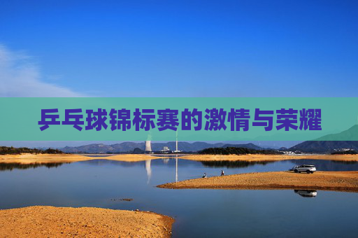 乒乓球锦标赛的激情与荣耀