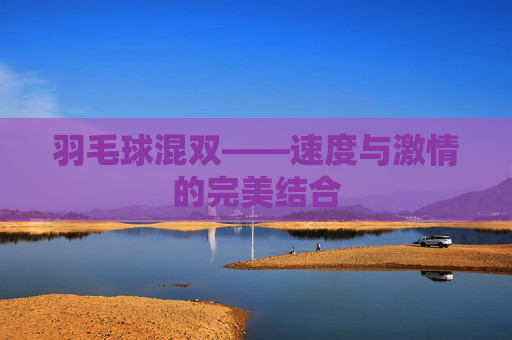 羽毛球混双——速度与激情的完美结合