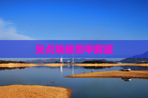 安贞焕被意甲解雇