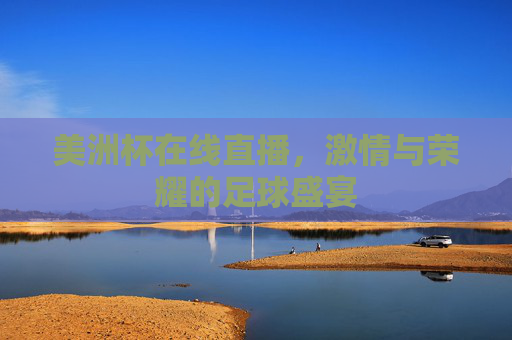 美洲杯在线直播，激情与荣耀的足球盛宴