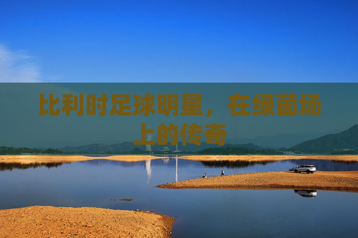 比利时足球明星，在绿茵场上的传奇