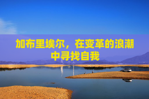 加布里埃尔，在变革的浪潮中寻找自我
