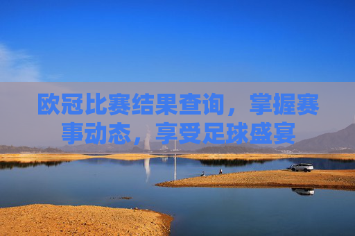 欧冠比赛结果查询，掌握赛事动态，享受足球盛宴