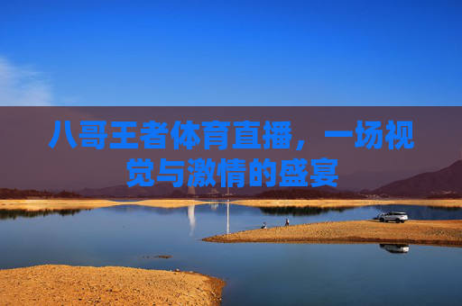 八哥王者体育直播，一场视觉与激情的盛宴