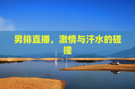 男排直播，激情与汗水的碰撞