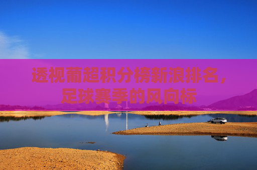 透视葡超积分榜新浪排名，足球赛季的风向标