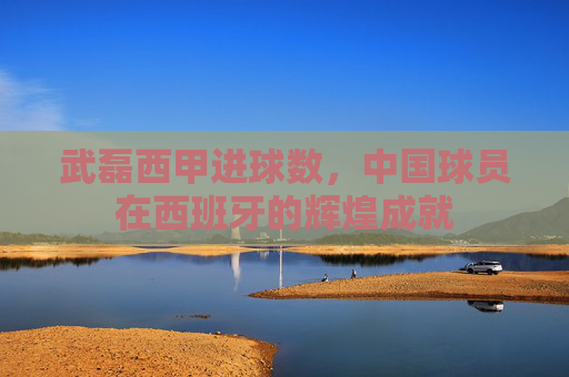 武磊西甲进球数，中国球员在西班牙的辉煌成就