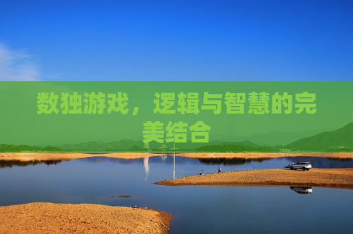 数独游戏，逻辑与智慧的完美结合