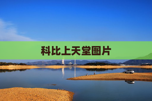 科比上天堂图片