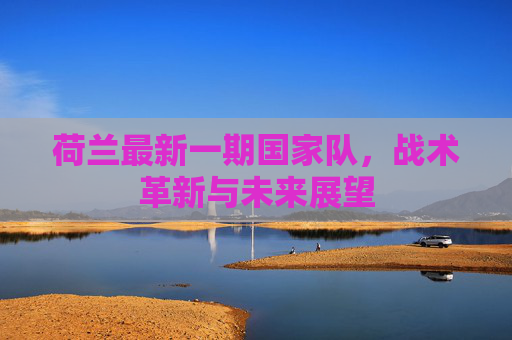 荷兰最新一期国家队，战术革新与未来展望