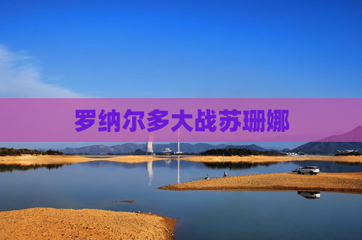 罗纳尔多大战苏珊娜