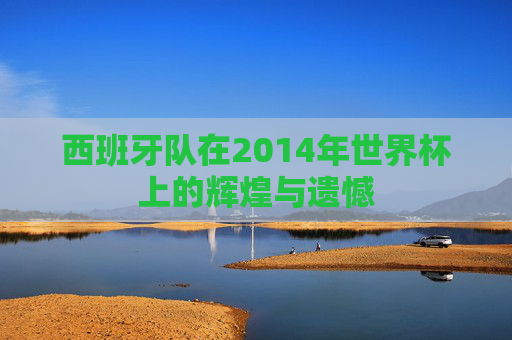 西班牙队在2014年世界杯上的辉煌与遗憾