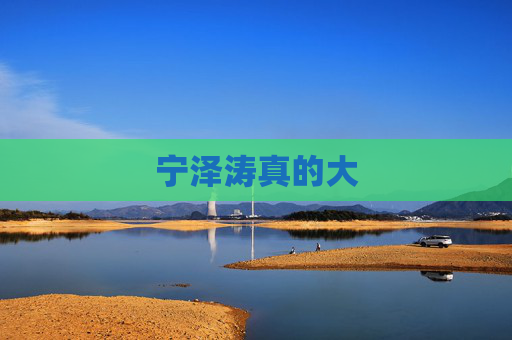 宁泽涛真的大