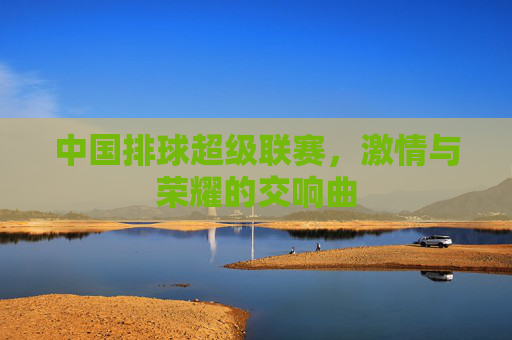 中国排球超级联赛，激情与荣耀的交响曲