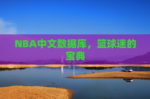 NBA中文数据库，篮球迷的宝典