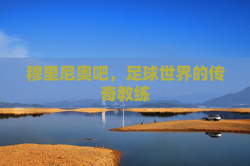 穆里尼奥吧，足球世界的传奇教练