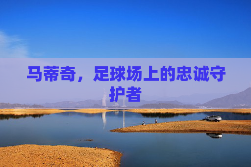 马蒂奇，足球场上的忠诚守护者