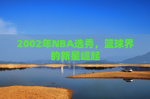 2002年NBA选秀，篮球界的新星崛起