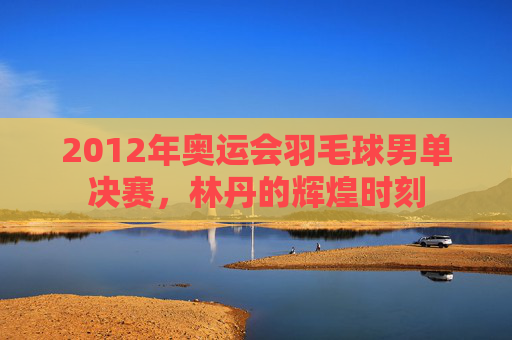 2012年奥运会羽毛球男单决赛，林丹的辉煌时刻