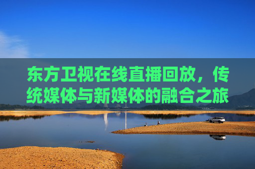 东方卫视在线直播回放，传统媒体与新媒体的融合之旅