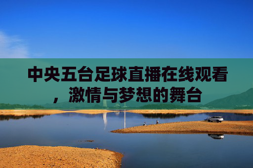 中央五台足球直播在线观看，激情与梦想的舞台