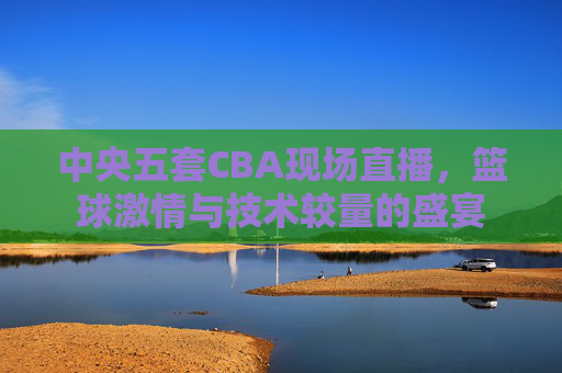 中央五套CBA现场直播，篮球激情与技术较量的盛宴
