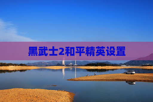 黑武士2和平精英设置