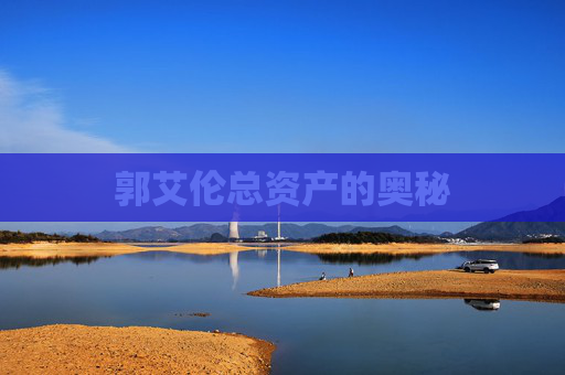 郭艾伦总资产的奥秘