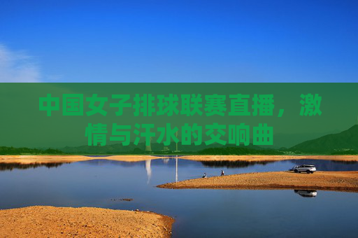 中国女子排球联赛直播,激情与汗水的交响曲 中国女子排球联赛直播,激情与汗水的交响曲