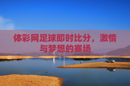 体彩网足球即时比分，激情与梦想的赛场
