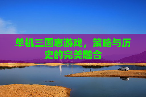 单机三国志游戏，策略与历史的完美融合
