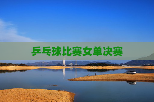 乒乓球比赛女单决赛