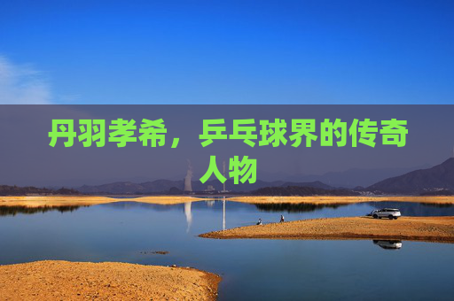 丹羽孝希，乒乓球界的传奇人物