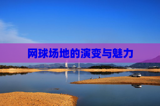 网球场地的演变与魅力