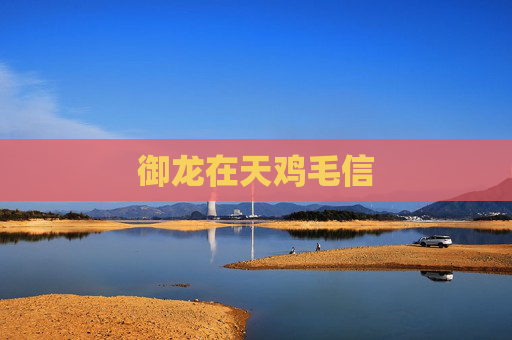 御龙在天鸡毛信