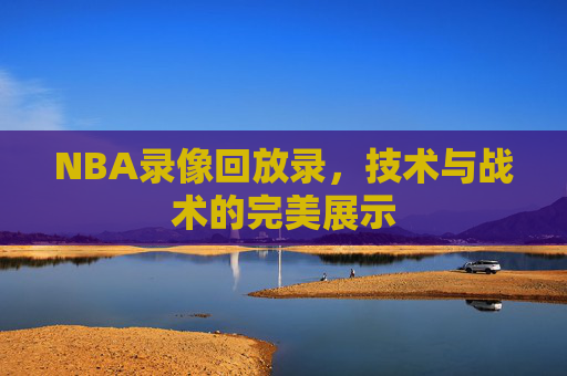 NBA录像回放录，技术与战术的完美展示