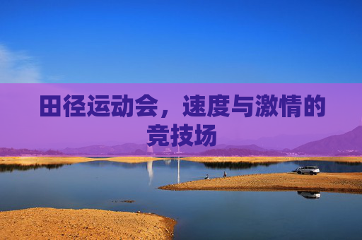 田径运动会，速度与激情的竞技场
