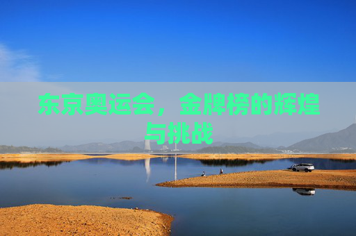 东京奥运会，金牌榜的辉煌与挑战