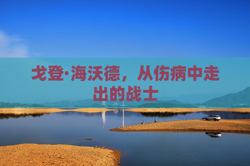 戈登·海沃德，从伤病中走出的战士